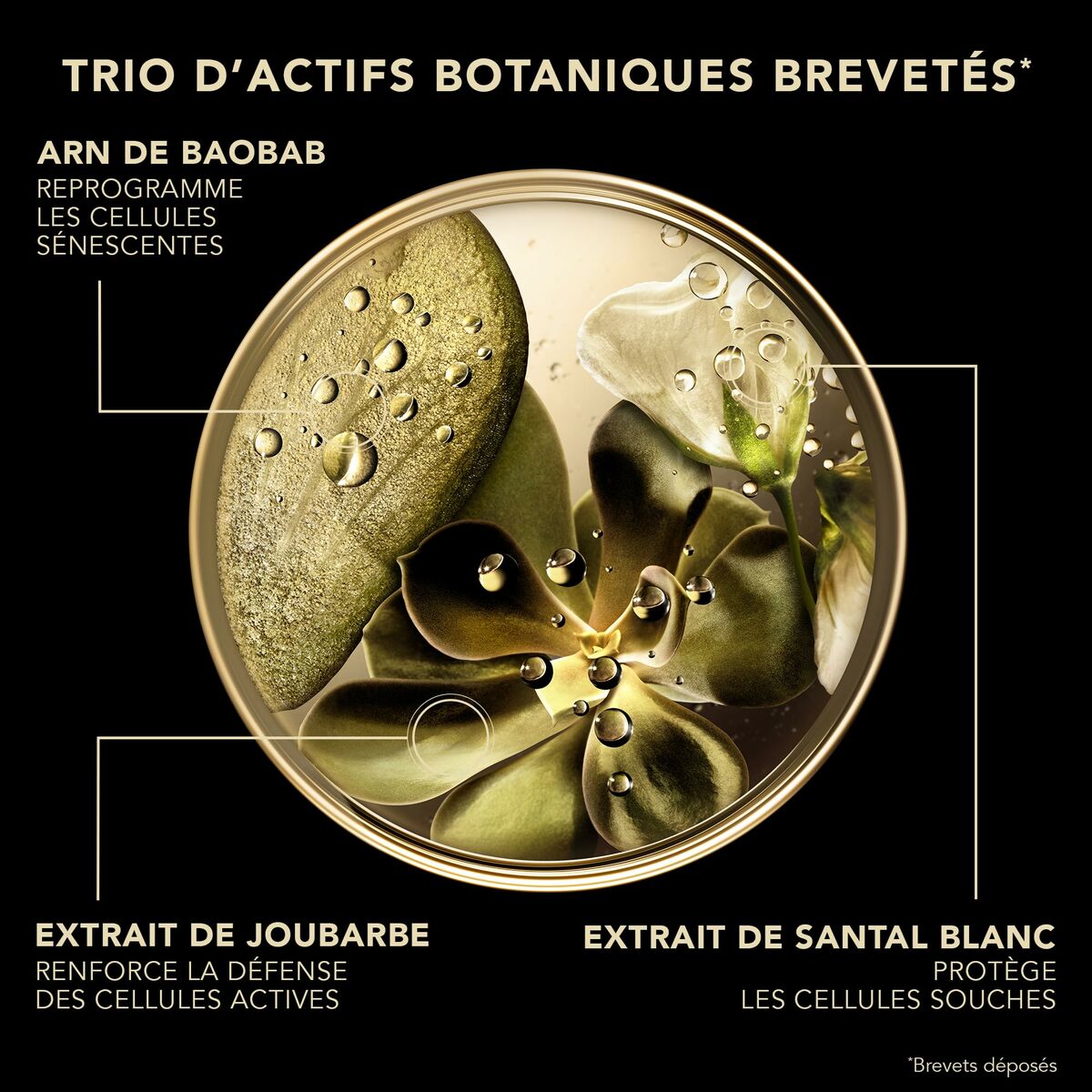 V2H45CBE30C4E26D52FA38D4E3D48152C79R7239465P3