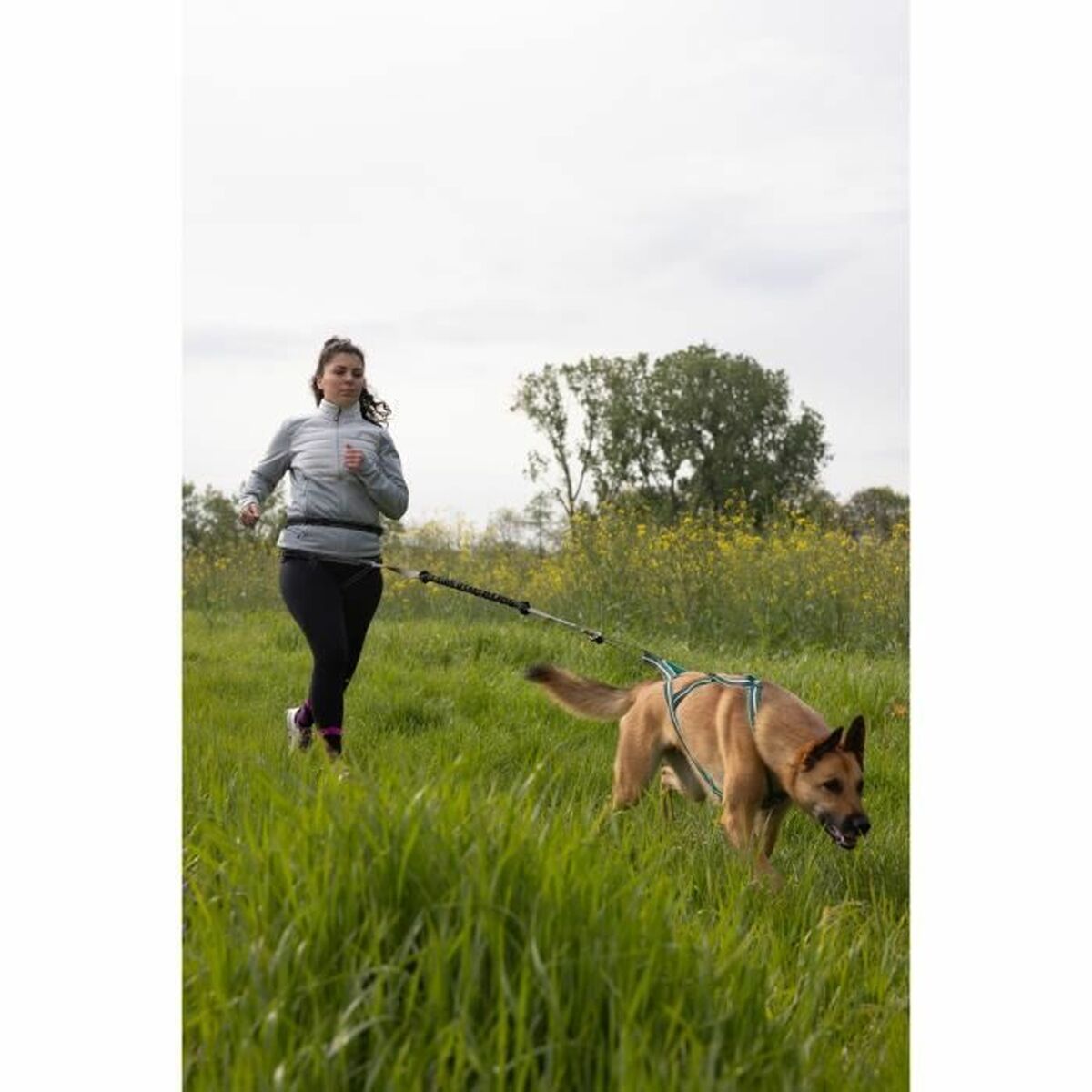 V3H30879F4D292F84139E14C509BB1D9EFFR5776762P6