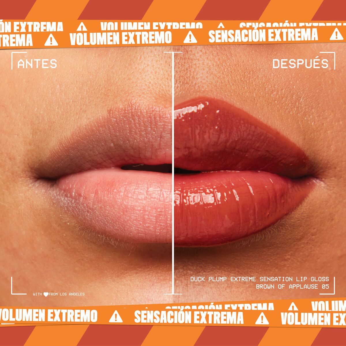 V6HC09F613056B389D81A00E90F0F231CCCR3949421P3