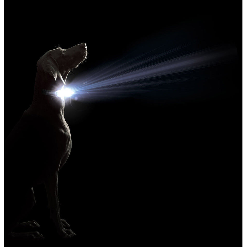 V3H7ECF6009EB371B8337E2C9A12E411D43R5554898P2