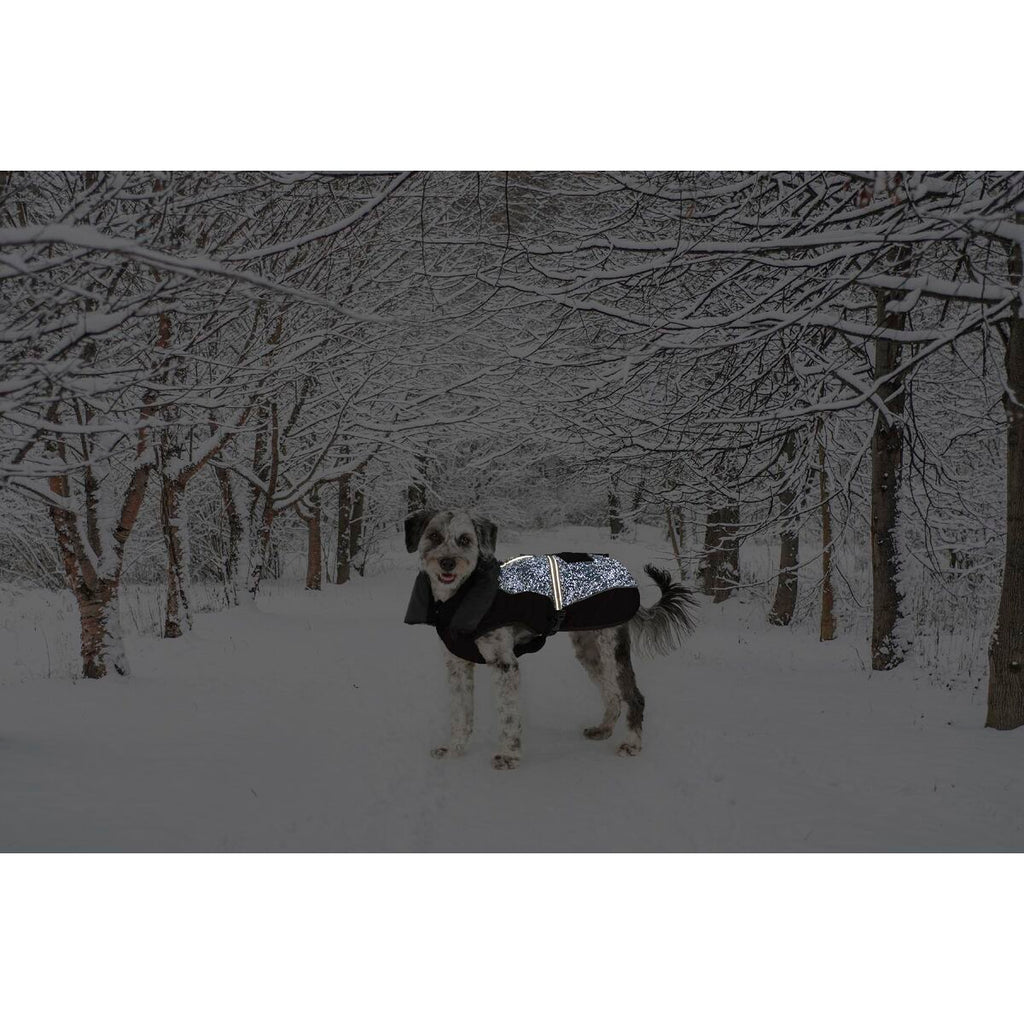 V5H0D2A2F62D9A49D5AD82974EF743F6DB3R5332494P2