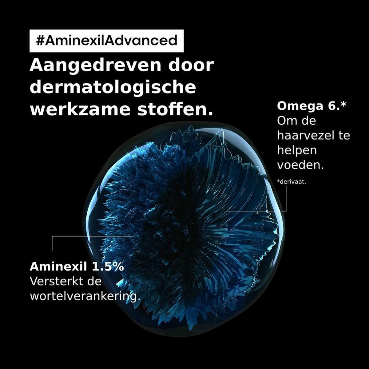 V2H34DF662D008A21A6F54F88EC673EFDD4R6986558P3