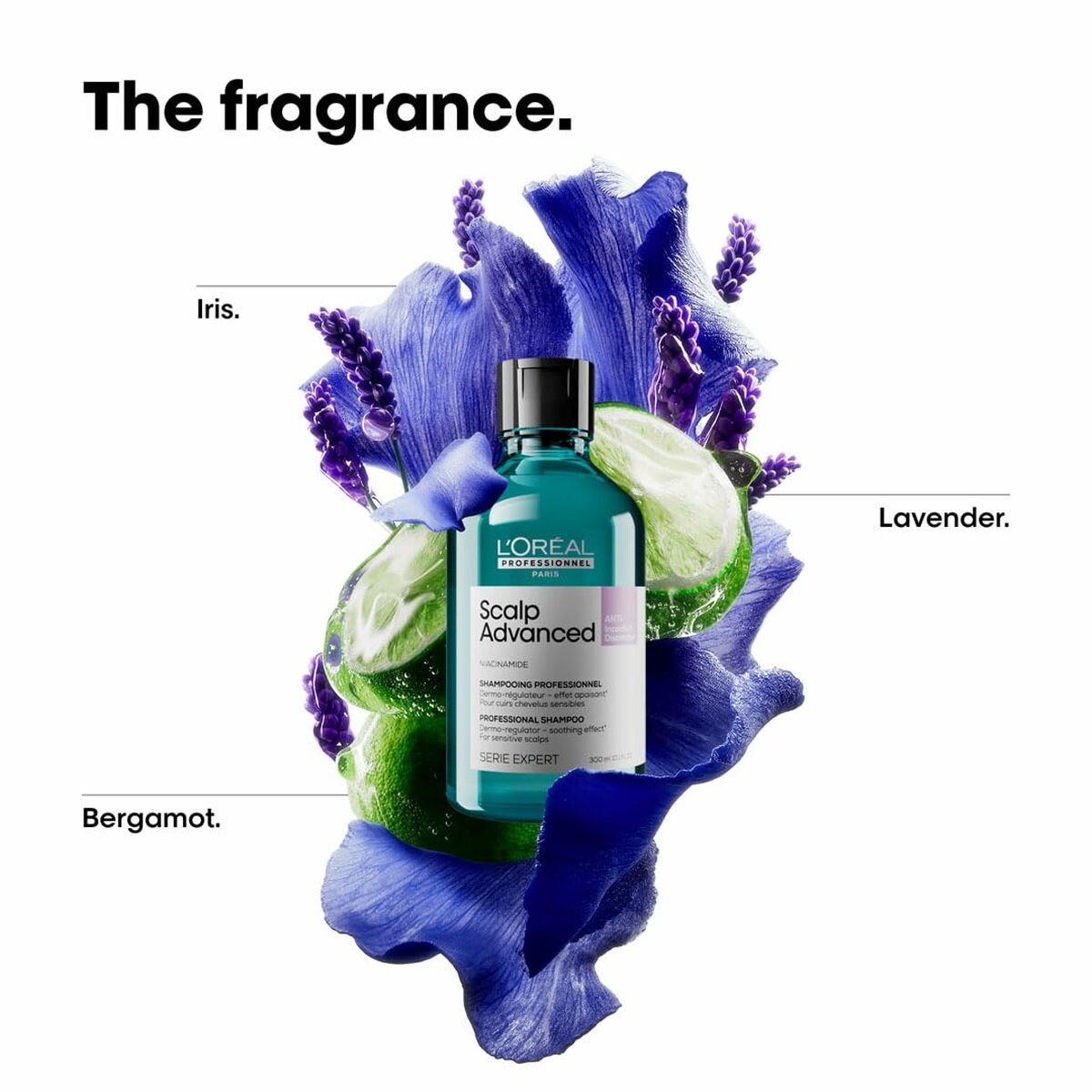 V3H480E2B76B98E8C2E8B452F96B486186BR6713850P5