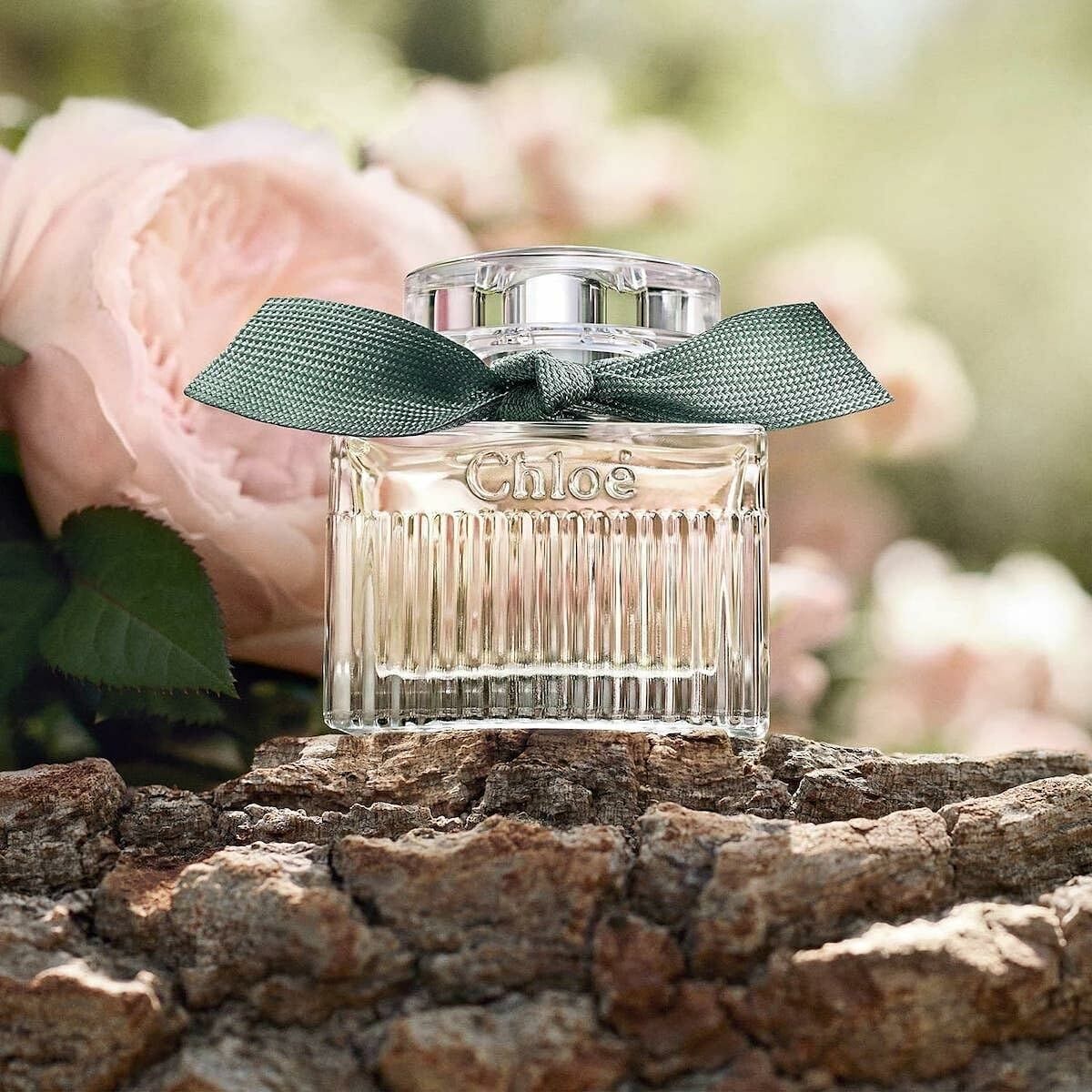 V4H432A1919219401D821E935B274F29999R5915429P5