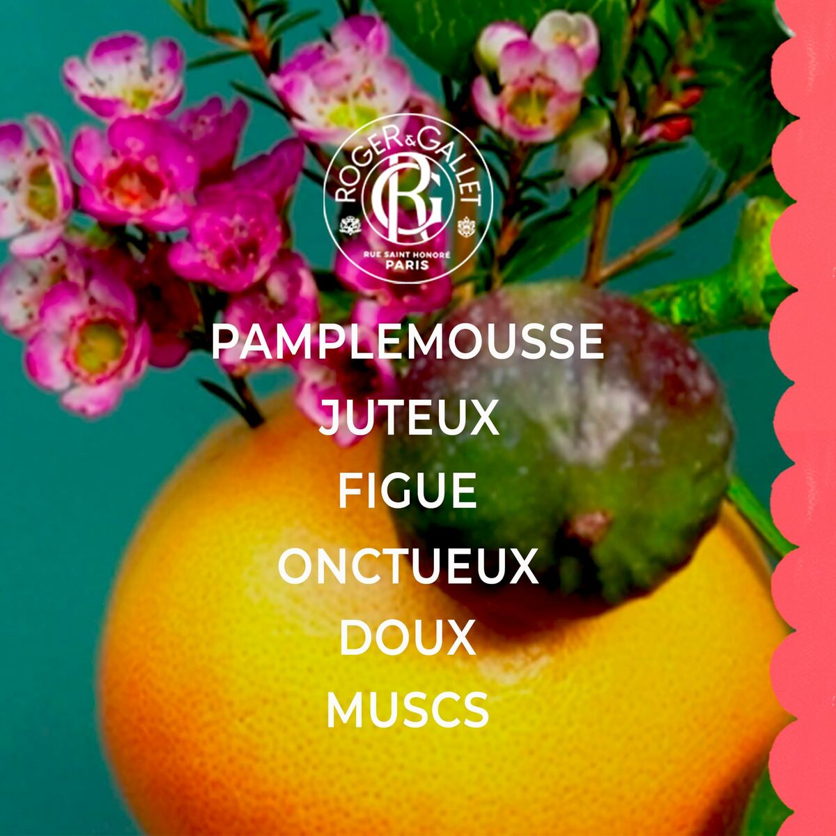 V3H92533F581588214718F251D8A843208AR7111733P3