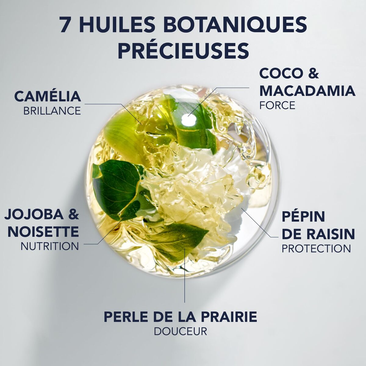 V3H6DE867F8B56BF05B07196AE630308413R7355538P3