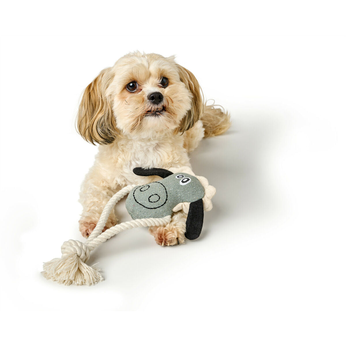 V3H992796FB7372658703E019837B6A2E1CR5574741P5