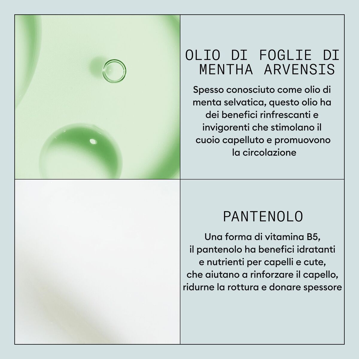 V3H8FA5F48E80A3CF52370F631C9C29DDDFR7512379P6