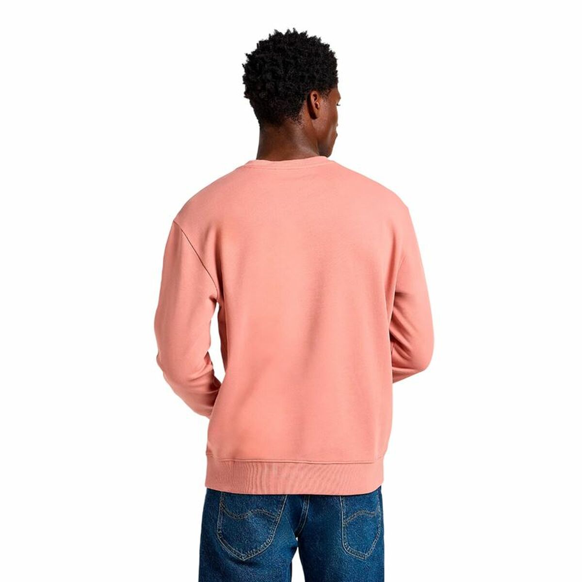 V4H0C3719023CFDD2D9225022DFF87D6490R6110447P2