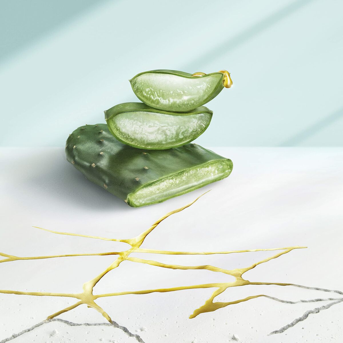 V7HEAAD25BC8D848DBFC018CCFBE84140E3R3757084P2