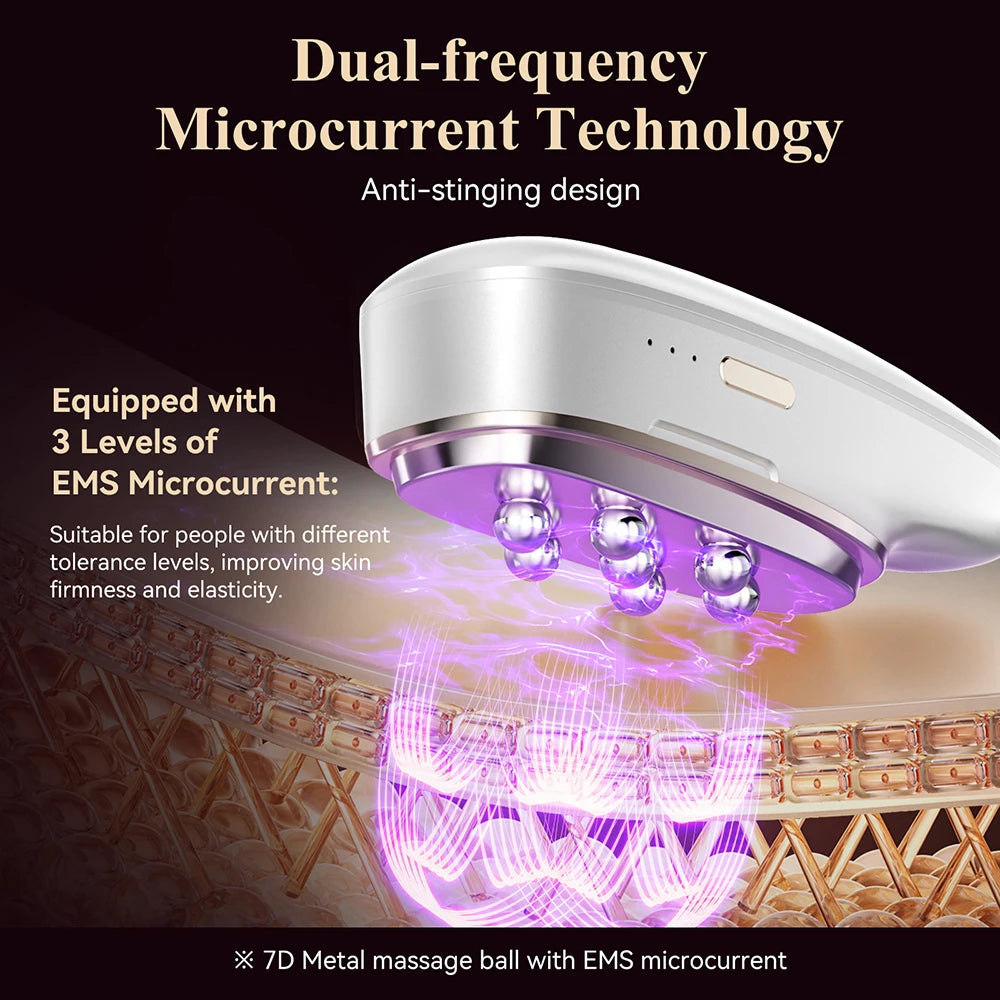 ANLAN 2 in 1 Guasha Beauty Device Set Facial Removal Swelling Wrinkle Dual-frequency EMS Skincare Hot Cold Body Guasha Massager